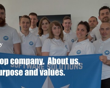 Devloop company.  About us, our purpose and values.